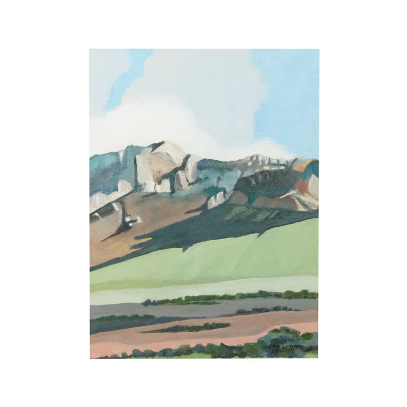 Steve Latimer Contemporary Painting