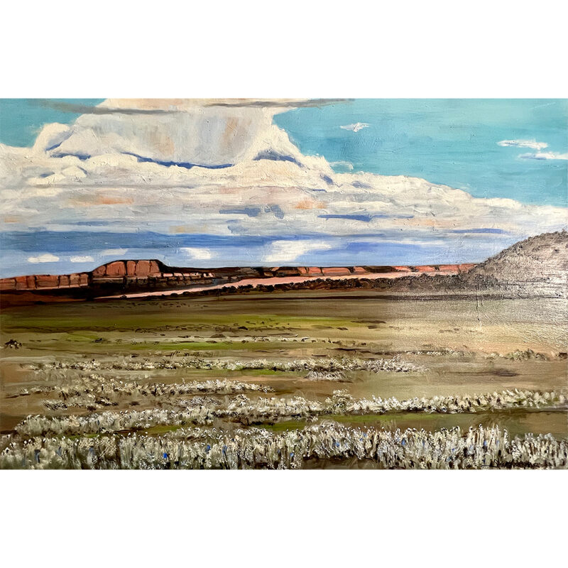 Steve Latimer "Wide Open Mesa" Oil On Canvas Painting